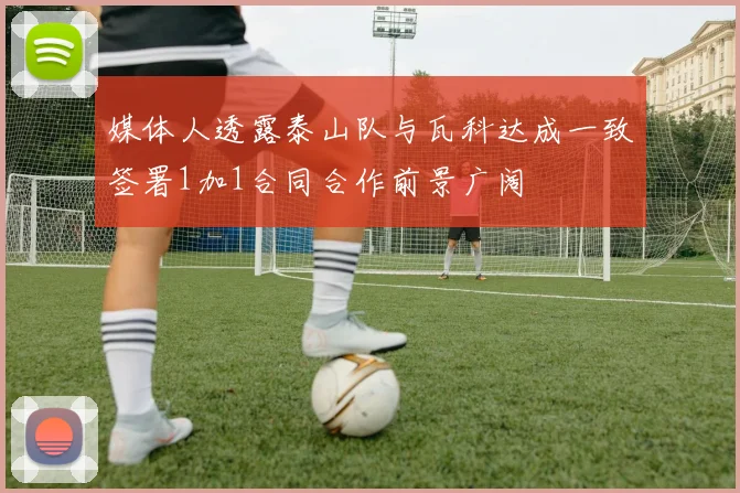 媒体人透露泰山队与瓦科达成一致签署1加1合同合作前景广阔