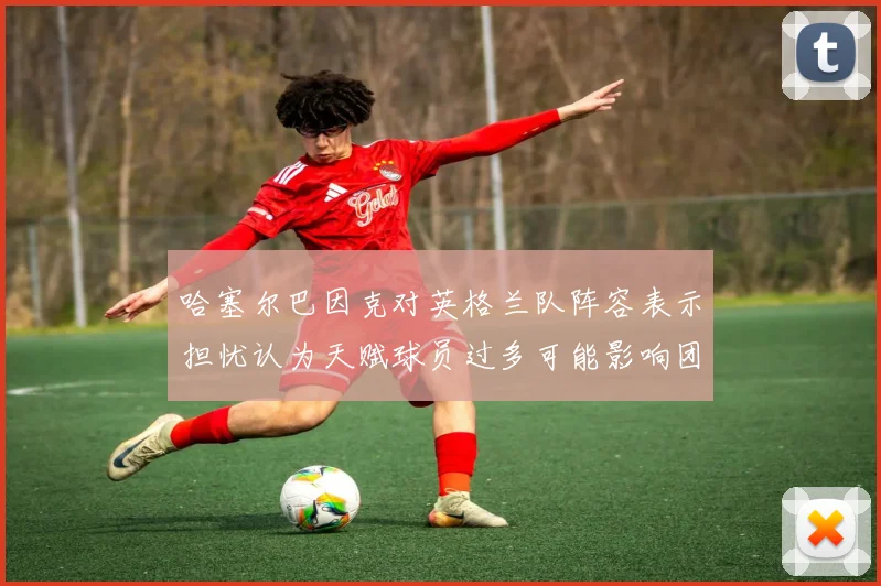 哈塞尔巴因克对英格兰队阵容表示担忧认为天赋球员过多可能影响团队合作