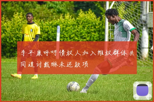 李平康呼吁债权人加入维权群体共同追讨戴琳未还款项