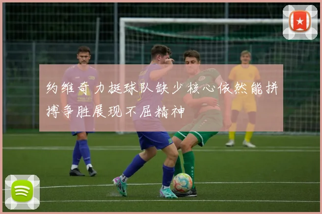 约维奇力挺球队缺少核心依然能拼搏争胜展现不屈精神