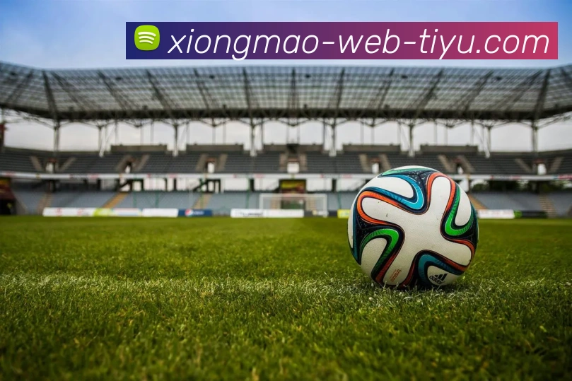 熊猫体育平台生态图