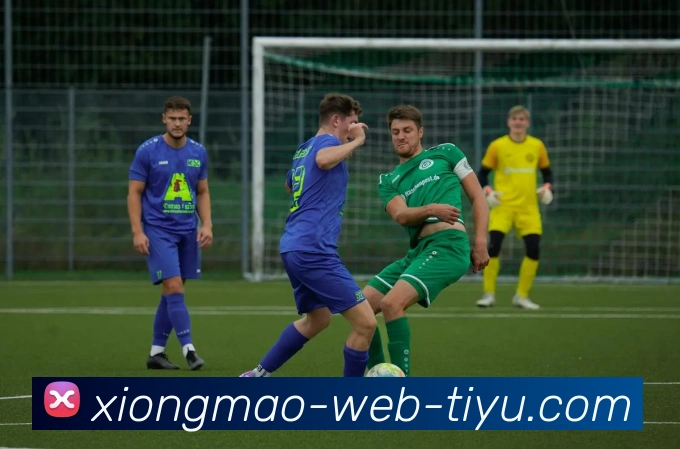 熊猫体育APP 封面图