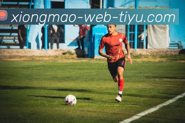 数据防护可视化